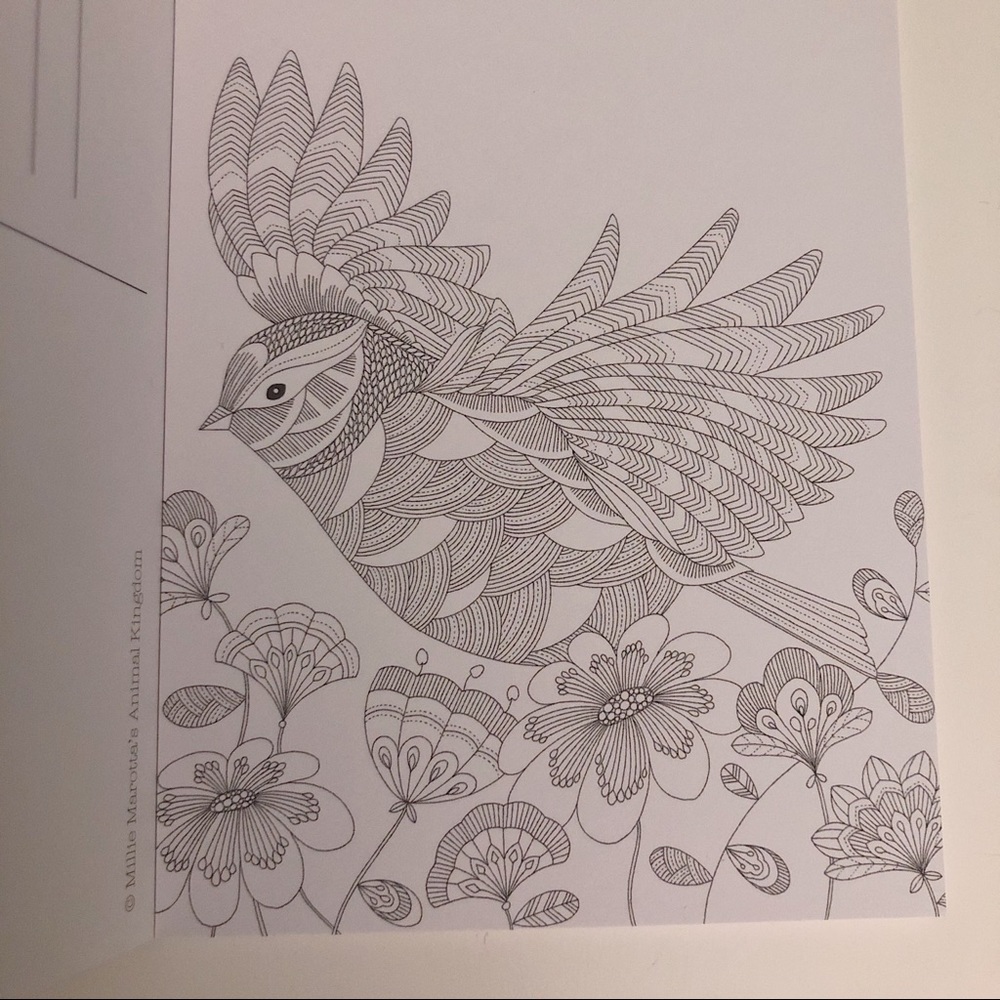 Postcard Colouring Book - Picture 4 of 7